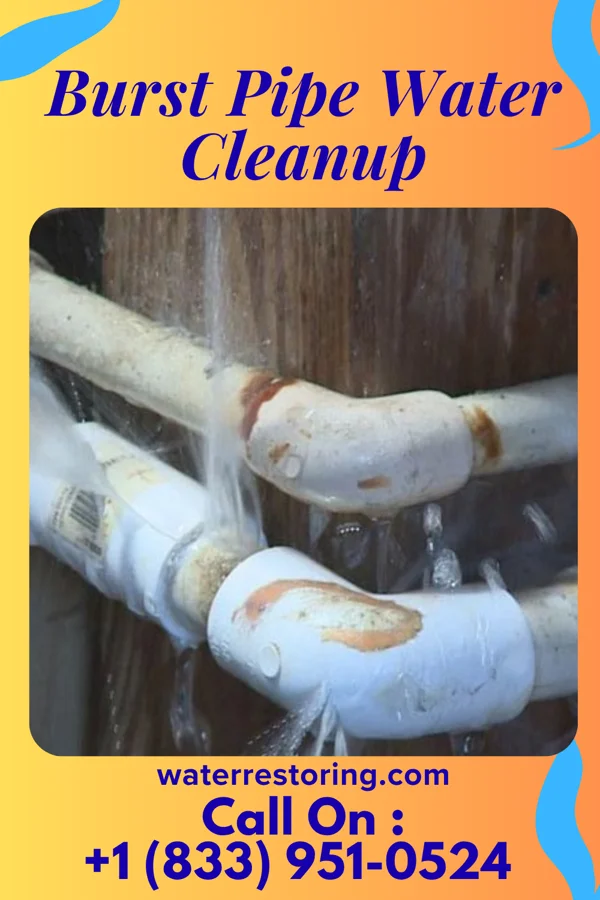Burst Pipe Water Cleanup in Troy, OH