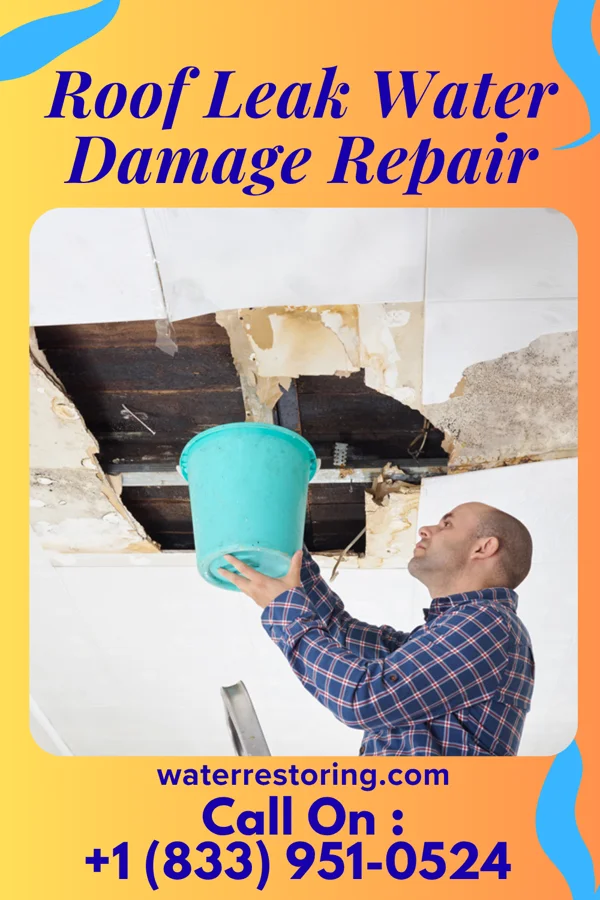 Roof Leak Water Damage Repair in Troy, OH