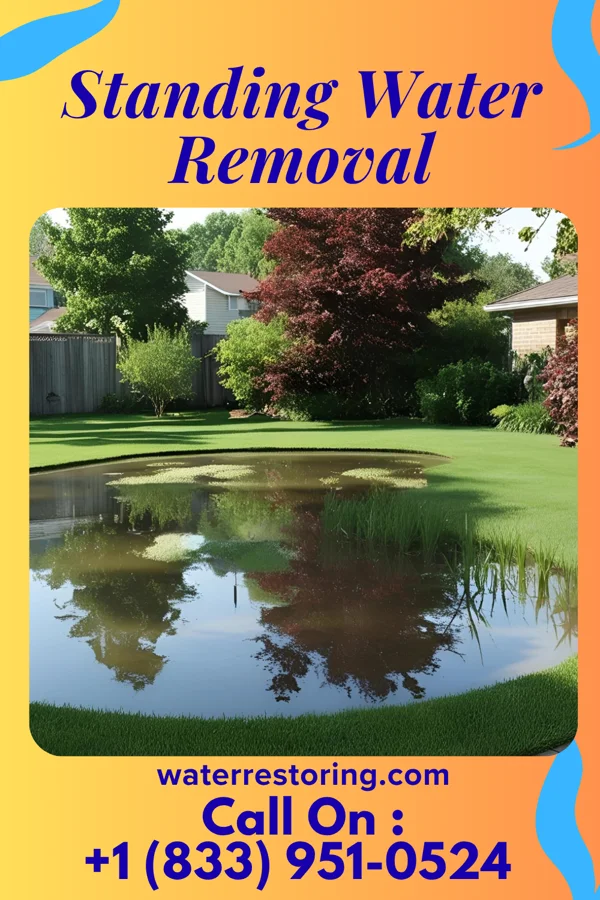 Standing Water Removal in Troy, OH